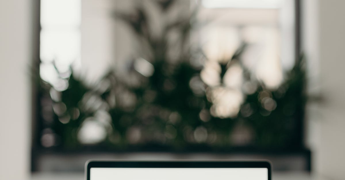 Common Problems with LCD Laptop Screens and Their Solutions